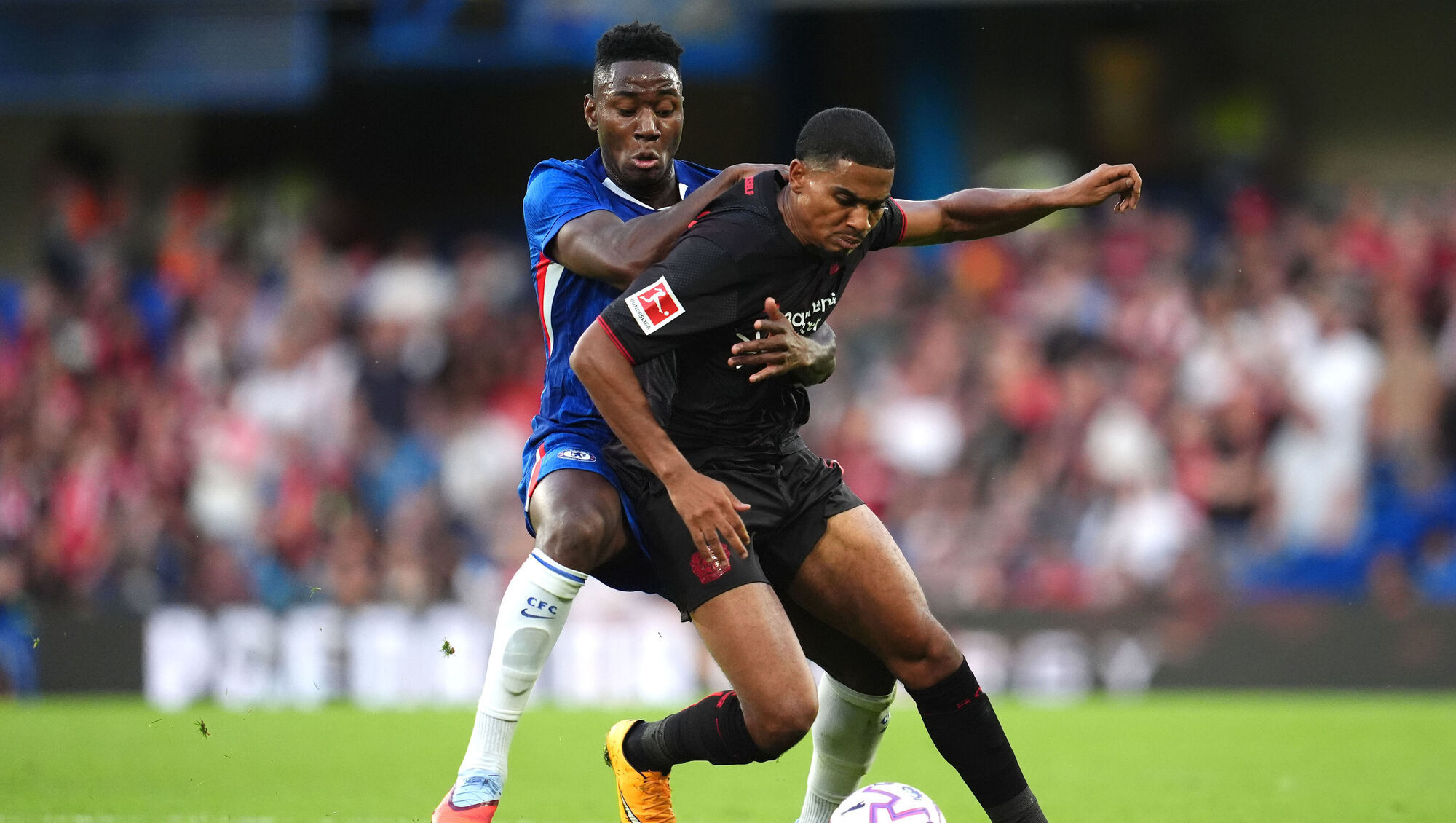 Bournemouth Secure Morocco Winger Amine Adli on Five-Year Deal from Bayer Leverkusen